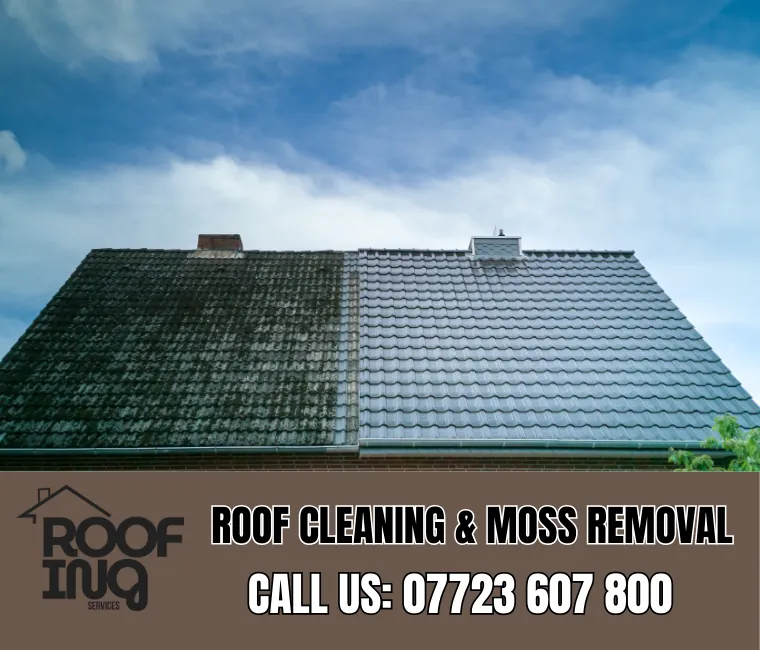 Roof cleaning and moss removal in Dartmouth